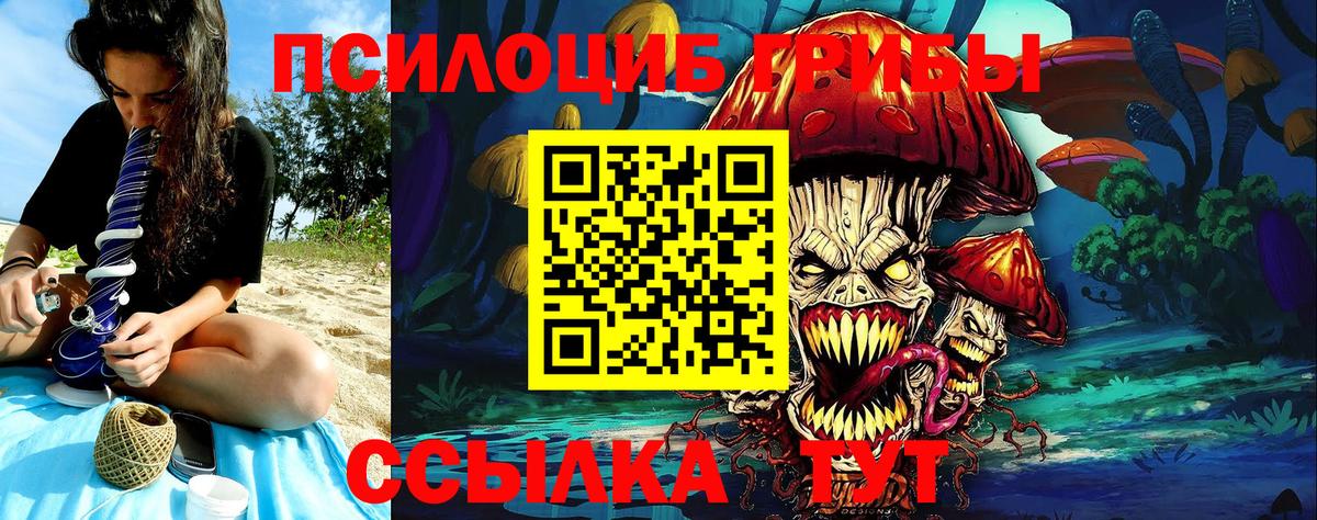 Псилоцибиновые грибы прущие грибы  Вход с VPN  Елец 