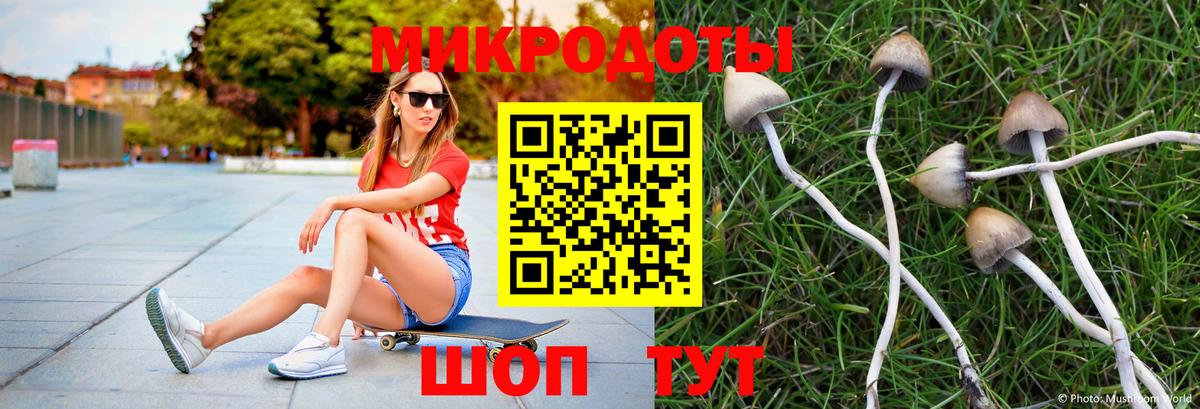 Галлюциногенные грибы ЛСД Елец